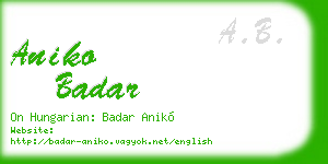 aniko badar business card